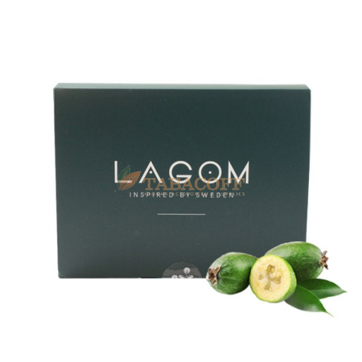 Табак для кальяна Lagom Silva Feijo 2.0 200 гр